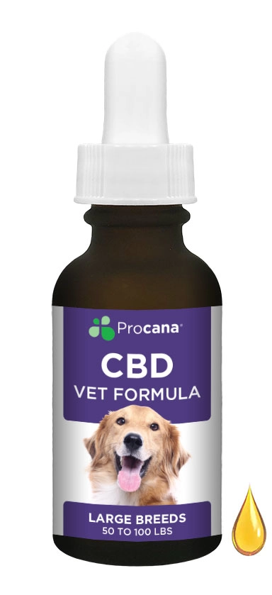 cbd-vet-large-dog-dropper CBD Vet Formula Large Breeds