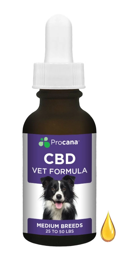 cbd-vet-medium-dog-dropper CBD Vet Formula Mini Breeds & Cats
